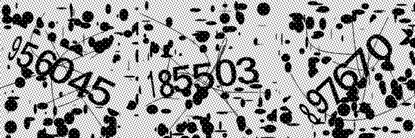 Veuillez activer le chargement des images dans votre navigateur.