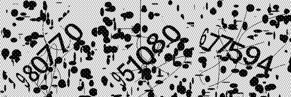 Veuillez activer le chargement des images dans votre navigateur..